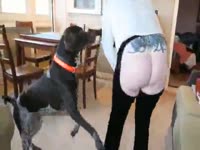 [Gag Dog Cock Suck] Amateur Wife Gagging On Cum XXX Videos